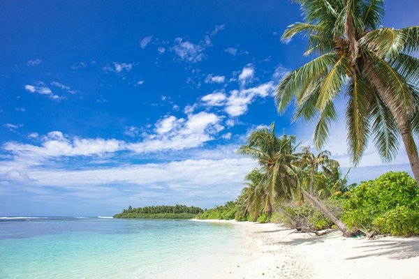 Pénurie de pilotes dans l'aviation privée : défis et solutions