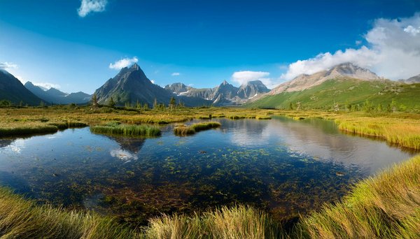 Quels conseils pour maximiser votre temps à bord avec des activités pour tous les âges ?