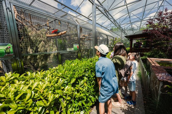 Tout savoir sur les tarifs Beauval pour votre visite